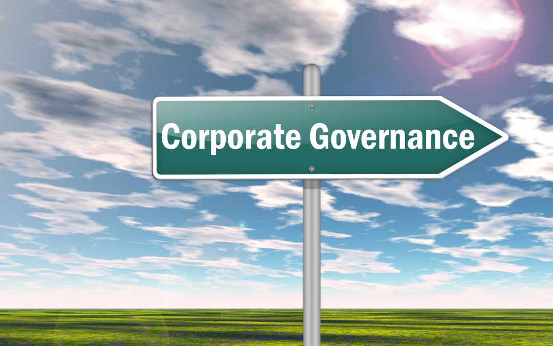 Company Directors in the US and the UK